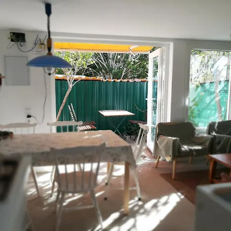Bett 4 Im Maenner-4-bettzimmer Nur Maenner Only Men Solo Hombres Hostel Mogan